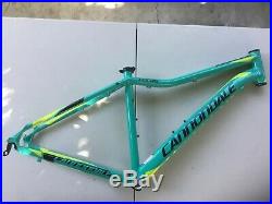 cannondale foray