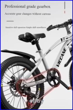 18/20/22 inch Mountain Bike Bicycle Unisex Steel Frame Dual disc brakes 6 Speed 18/20/22 inch Mountain Bike Bicycle Unisex Steel Frame Dual disc brakes 6 Speed