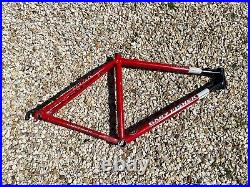 2001 Gary Fisher Paragon 26 Vintage MTB Frame Size Large in Red and Black