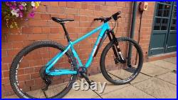 29er mountain bike FRAME ONLY SALE
