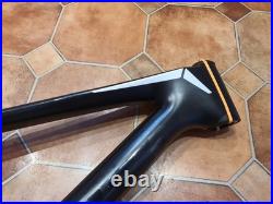 46cm Medium FOCUS RAVEN MAX Carbon 29er Hardtail Frame. Non Boost