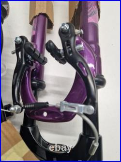 Apollo Jewel Womens 18 Speed Medium 17'' Alloy Frame Mountain Bike Purple A