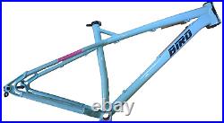 BIRD Zero 29 Mint Green Large Hardtail Trail Mountain Bike Frame Very Nice 29er