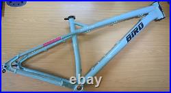 BIRD Zero 29 Mint Green Large Hardtail Trail Mountain Bike Frame Very Nice 29er