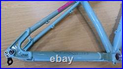 BIRD Zero 29 Mint Green Large Hardtail Trail Mountain Bike Frame Very Nice 29er