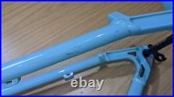 BIRD Zero 29 Mint Green Large Hardtail Trail Mountain Bike Frame Very Nice 29er