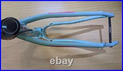 BIRD Zero 29 Mint Green Large Hardtail Trail Mountain Bike Frame Very Nice 29er