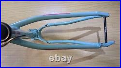 BIRD Zero 29 Mint Green Large Hardtail Trail Mountain Bike Frame Very Nice 29er