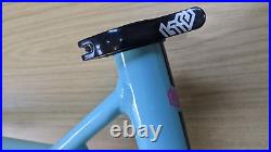 BIRD Zero 29 Mint Green Large Hardtail Trail Mountain Bike Frame Very Nice 29er