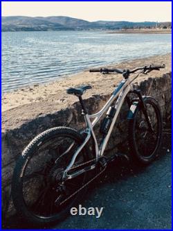 Banshee Paradox V3 (frame only), Hardtail Mountain Bike, 29 Inch Wheels