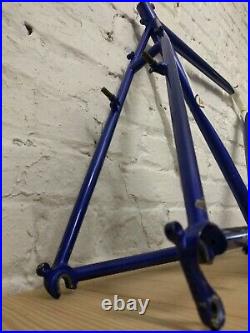 Breeze Thunder frame MTB Spinner dropout Ritchey Logic Super tubing Tange 19