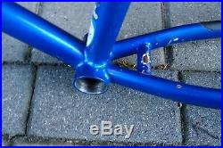 Breeze Thunder frame MTB Spinner dropout Ritchey Logic Super tubing Tange 19.5'