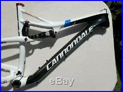 Cannondale Scalpel Carbon Frame L 19 29er XC frame Very good condition
