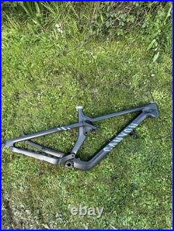 Canyon Strive CFR Frameset Medium 29er