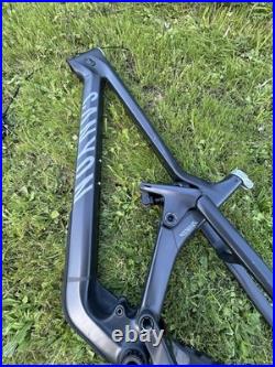 Canyon Strive CFR Frameset Medium 29er