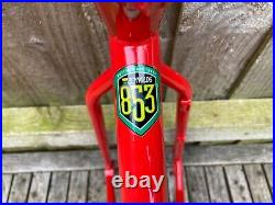 Cotic Simple Medium Sized Single Speed MTB Frame Reynolds 853 For 26 Wheels 2008