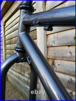 Custom Reynolds 520 Steel 650b Trekking Frame for Rohloff or Derailleurs