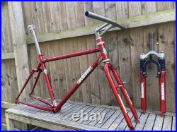 DeKerf Mountain 1995 Retro MTB Frame With Kona P2, & Rockshox Judy Forks, 18.5