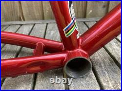 DeKerf Mountain 1995 Retro MTB Frame With Kona P2, & Rockshox Judy Forks, 18.5