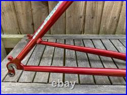 DeKerf Mountain 1995 Retro MTB Frame With Kona P2, & Rockshox Judy Forks, 18.5
