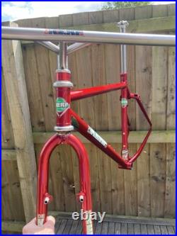 DeKerf Mountain 1995 Retro MTB Frame With Kona P2, & Rockshox Judy Forks, 18.5