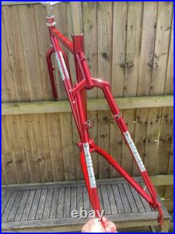 DeKerf Mountain 1995 Retro MTB Frame With Kona P2, & Rockshox Judy Forks, 18.5