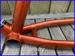 DeKerf Singlespeed Retro 18.5 MTB Frame Reynolds 725 Circa 2000
