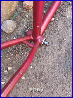 Diamondback Apex True Temper AVR Cro-Mo Retro MTB Mountain Bike Frameset Diamondback Apex True Temper AVR Cro-Mo Retro MTB Mountain Bike Frameset