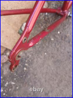 Diamondback Apex True Temper AVR Cro-Mo Retro MTB Mountain Bike Frameset Diamondback Apex True Temper AVR Cro-Mo Retro MTB Mountain Bike Frameset