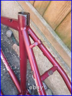 Diamondback Apex True Temper AVR Cro-Mo Retro MTB Mountain Bike Frameset Diamondback Apex True Temper AVR Cro-Mo Retro MTB Mountain Bike Frameset