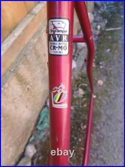 Diamondback Apex True Temper AVR Cro-Mo Retro MTB Mountain Bike Frameset Diamondback Apex True Temper AVR Cro-Mo Retro MTB Mountain Bike Frameset