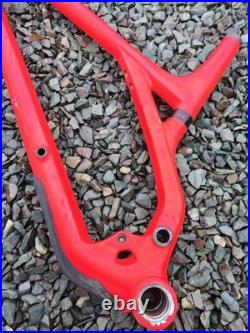 Evil Wreckoning LS Mountain Bike Frame Medium