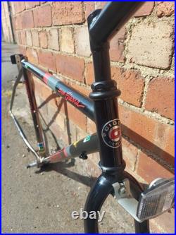 GIANT Super Sierra 1989 Crmo 4130 Vintage MTB Frame + Forks Shimano XT Chromoly