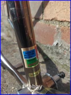 GIANT Super Sierra 1989 Crmo 4130 Vintage MTB Frame + Forks Shimano XT Chromoly