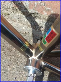 GIANT Super Sierra 1989 Crmo 4130 Vintage MTB Frame + Forks Shimano XT Chromoly
