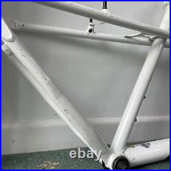 GT Tempest Retro Mountain Bike Frame 18 Blue & White Some Scratches To Paint