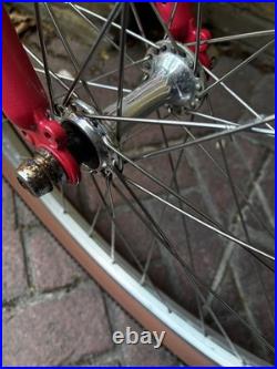 Giant Coldrock 90s Mountain Bike Cromoly Steel Frame 18.5