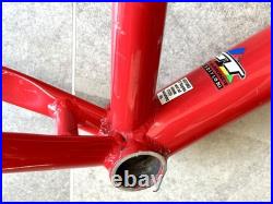 Gt Zaskar Race Retro Mtb Frame. Easton Tubing. Made In Usa. 18