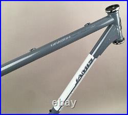 Jamis Dragon 29 29er MTB Bike Steel Frame Gray 15 SingleSpeed Sliding Dropouts