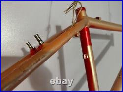 Klein Pulse 1994 16.5' Small Size Retro Bike Frame