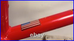 Klein Pulse 1998 Retro MTB Frame 26er 19 Aluminium (F 385)