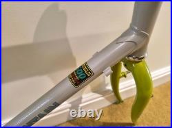 MINT / RESTORED Dawes DieHard MTB Mountain Bike Frame 22 XL Reynolds 500