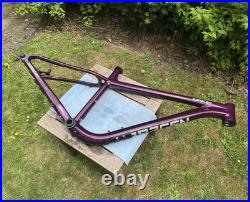 Medium Saracen Mantra Race Hardtail Frame