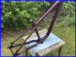 Medium Saracen Mantra Race Hardtail Frame