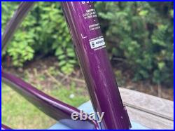 Medium Saracen Mantra Race Hardtail Frame