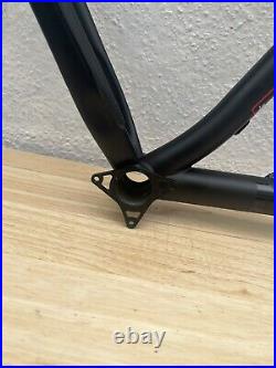 NS Eccentric Cromo Steel 29er Frame