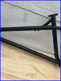 NS Eccentric Cromo Steel 29er Frame