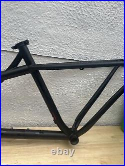 NS Eccentric Cromo Steel 29er Frame