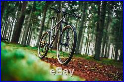 New WITTSON Bestia Titanium 29er MTB Frame Set mountain bike niner lynskey moots