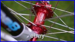 Pace RC200 F7 Mountain Bike Red, 19 Frame